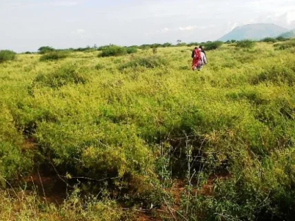 Land for sale in Kiserian, Kajiado County