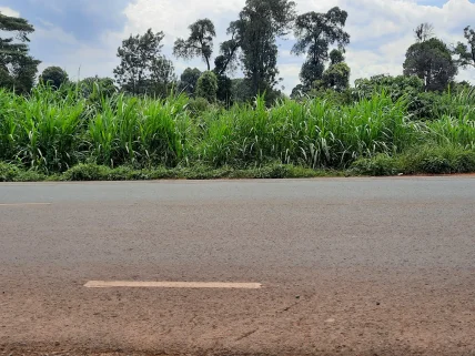 Commercial Land for sale in Muchatha, Muchatha and Banana
