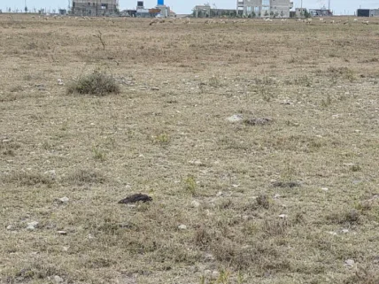 Residential Land for sale in Kitengela, Kajiado County
