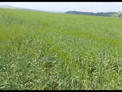 Residential Land for sale in Narok