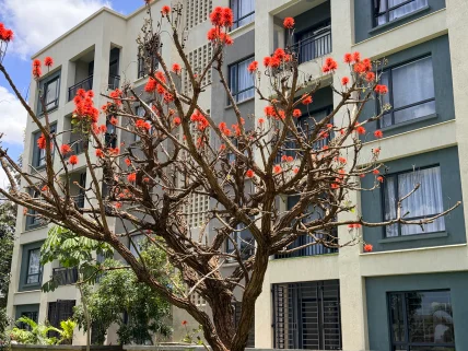 3-bedroom Apartment for sale in Kahawa Sukari, Roysambu