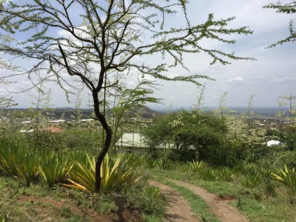 Commercial Land for sale in Namanga, Kajiado County