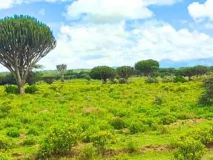 Residential Land for sale in Naivasha, Nakuru County