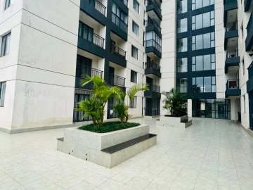 Thumbnail 16