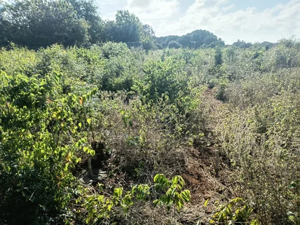 Residential Land for sale in Diani, Kwale County