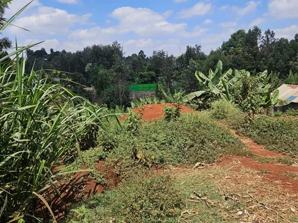 Commercial Land for sale in Kiambu Town, Kiambu County